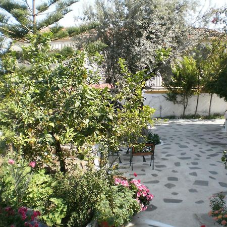 Sunrise Flora Daire Agia Marina  Dış mekan fotoğraf