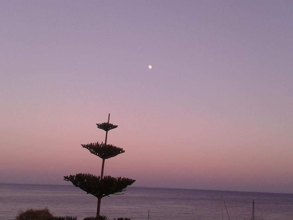 Sunrise Flora Daire Agia Marina  Dış mekan fotoğraf