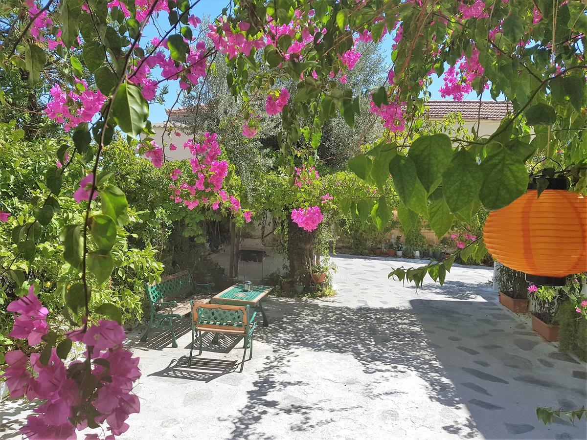 Sunrise Flora Daire Agia Marina  Dış mekan fotoğraf