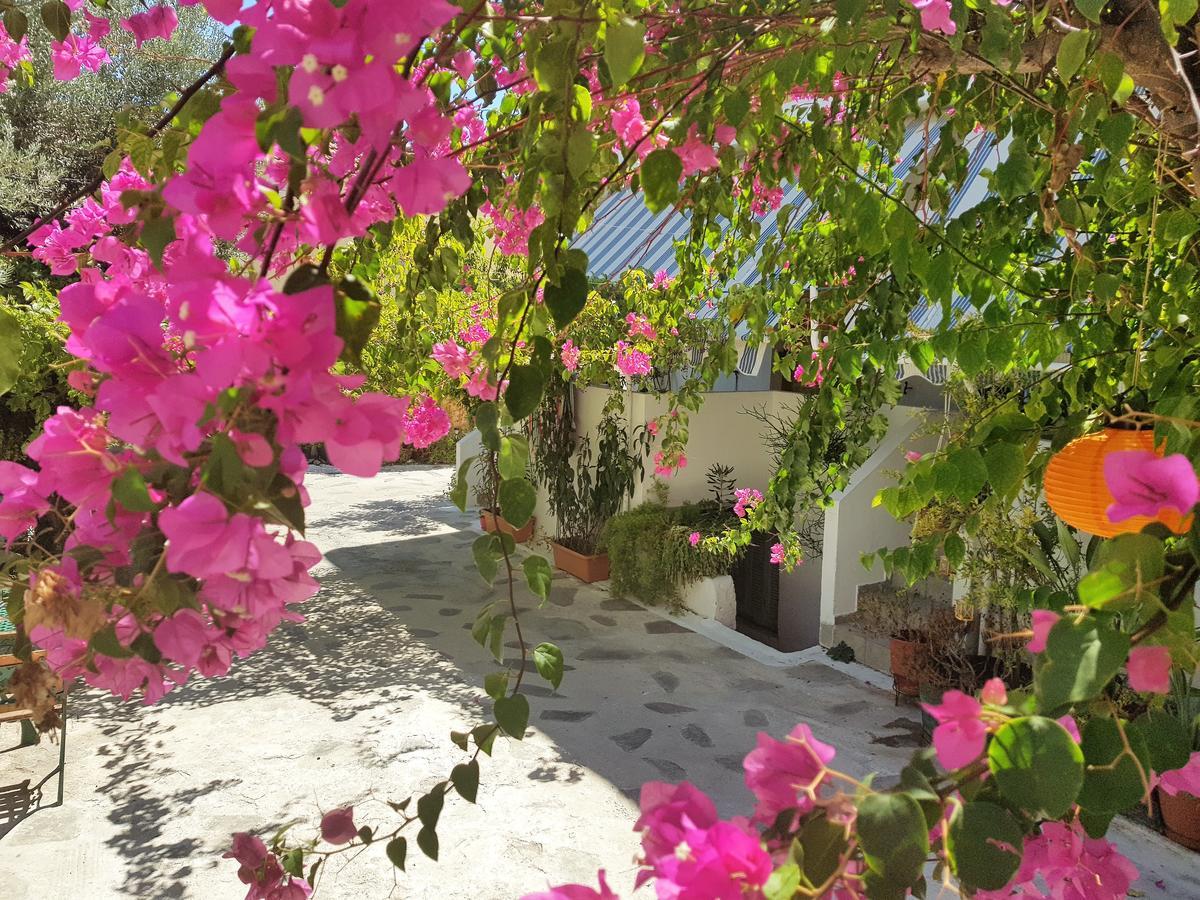 Sunrise Flora Daire Agia Marina  Dış mekan fotoğraf